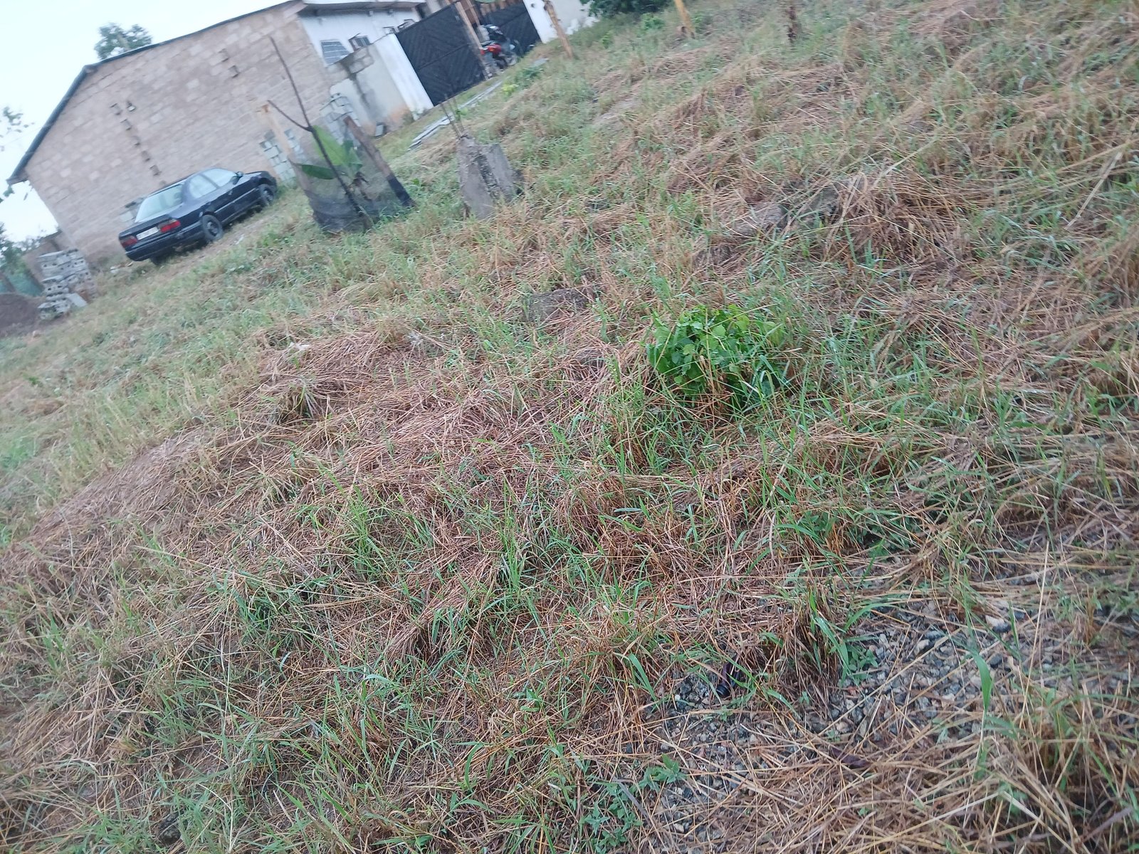 1/2 PLOT OF LAND FOR SALE