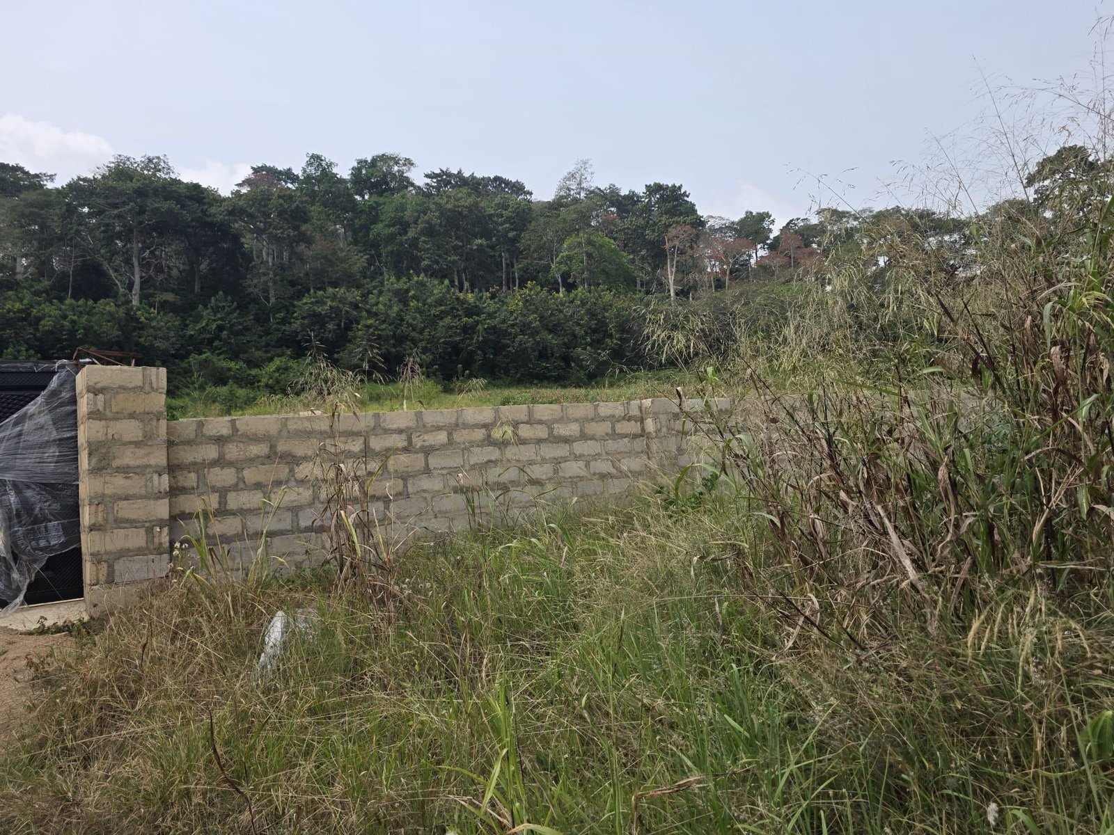 2 AcresFarmland For Sale