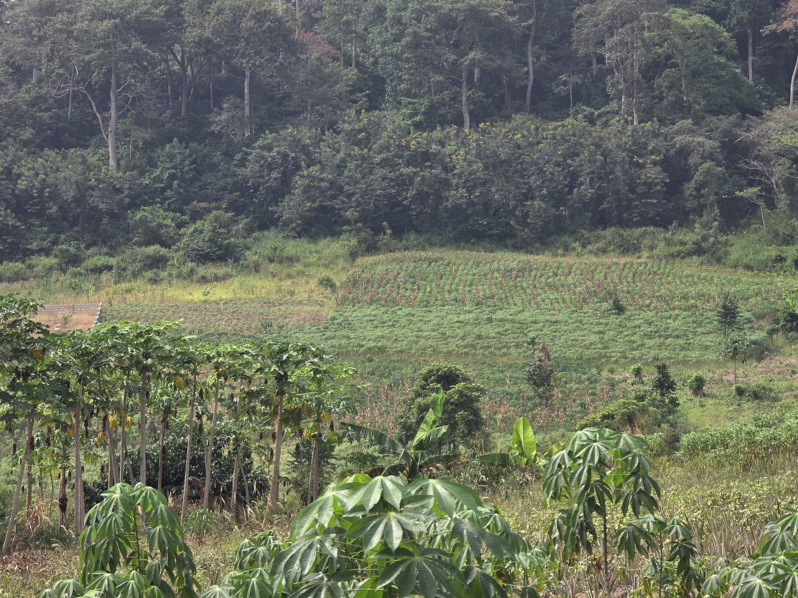 2 AcresFarmland For Sale