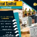 Great Spotted Company Limited