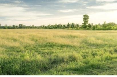 two plots of land at mpatsie