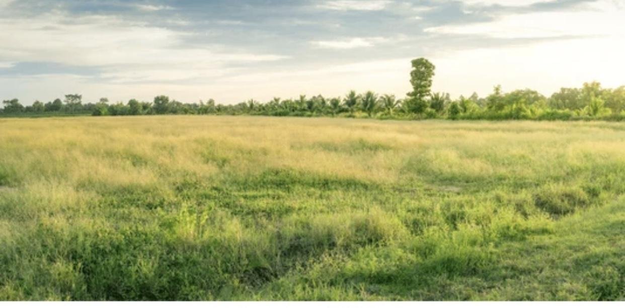 two plots of land at mpatsie