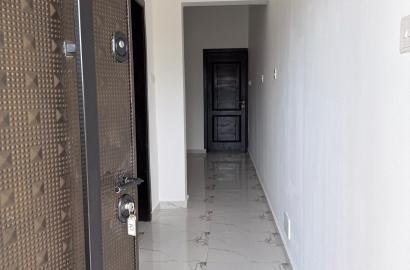 One bedroom apartment at Mile 11