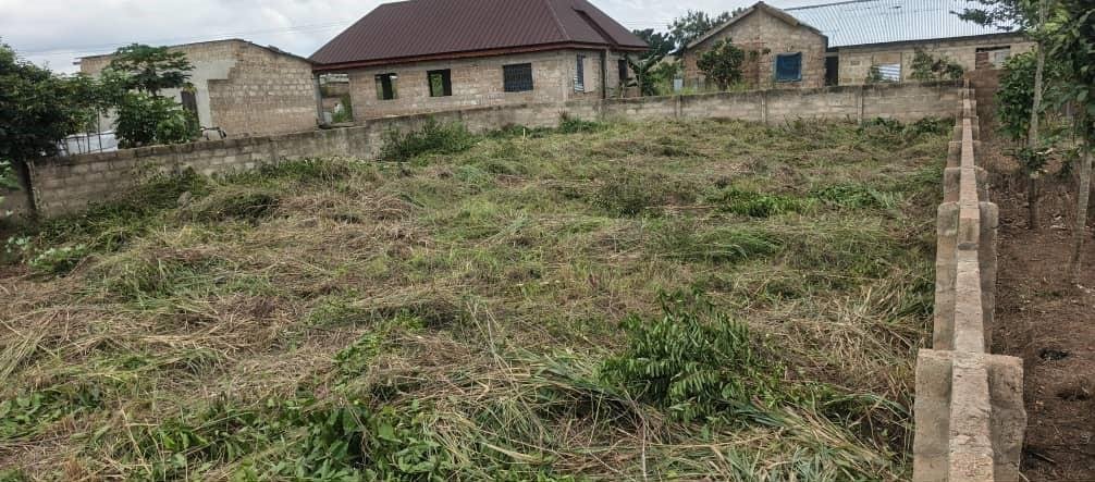 1 Plot of Land for Sale – Amasaman Danchira